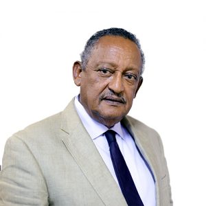 Mr Lemmawessen